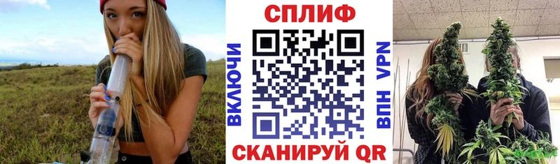 Названия наркотиков Выборг Гашиш  Каннабис  А ПВП  Меф мяу мяу  COCAIN 