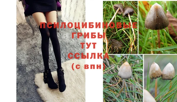 СК Новокубанск