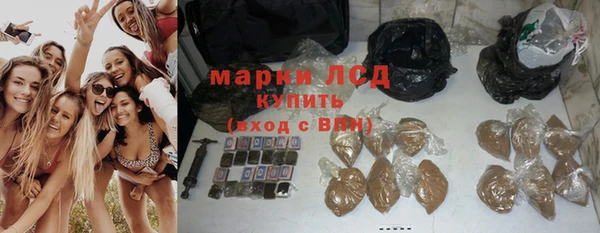 СК Новокубанск