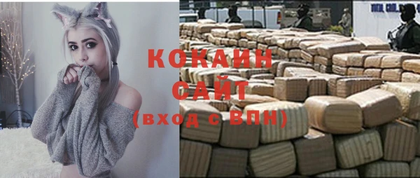 дживик Новодвинск