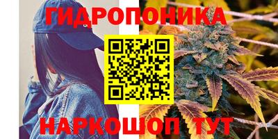 прущие грибы Берёзовский