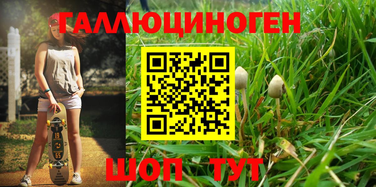 Галлюциногенные грибы мицелий  Псилоцибиновые грибы прущие грибы  Выборг 
