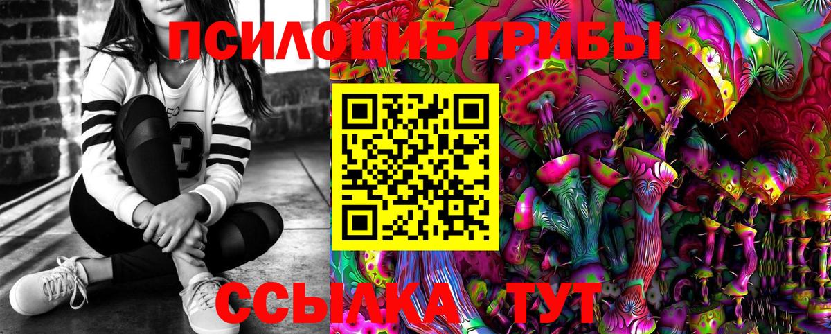 Псилоцибиновые грибы GOLDEN TEACHER Выборг