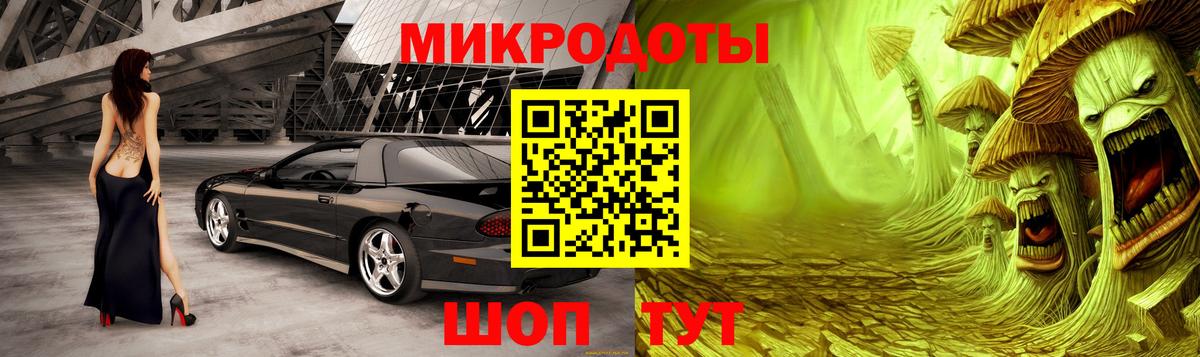 Галлюциногенные грибы Psilocybine cubensis Выборг